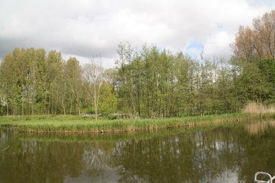 Foto 21 uit ParkenInBeverwaard