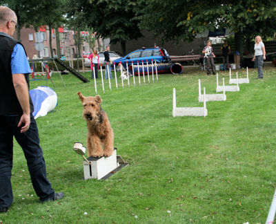 Foto 134 uit Wijkfeest12-09-2009