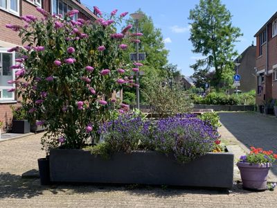 Foto 329 uit Rondje Beverwaard 2026