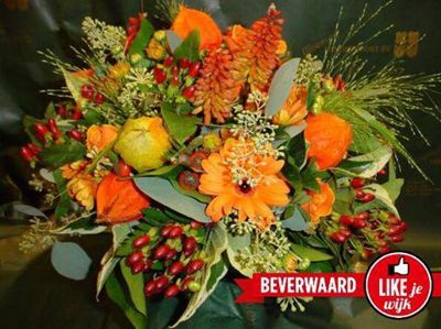 Foto 470 uit LIKEJEWIJK FOTO'S_2