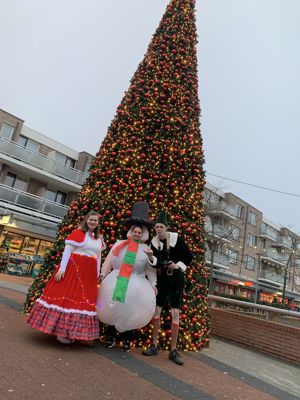 Foto 16 uit Grote Kerstboom WC