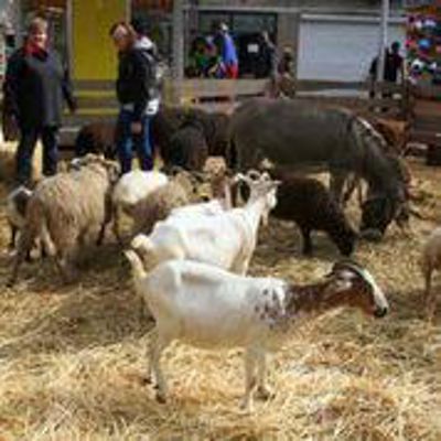 Foto 38 uit LikeJeWijkfeest14-9