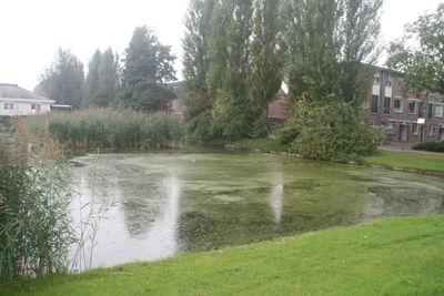 Foto 352 uit StratenBEVERWAARD