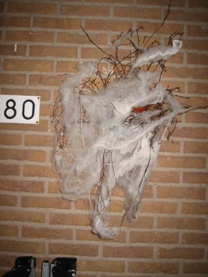 Foto 90 uit halloween2005