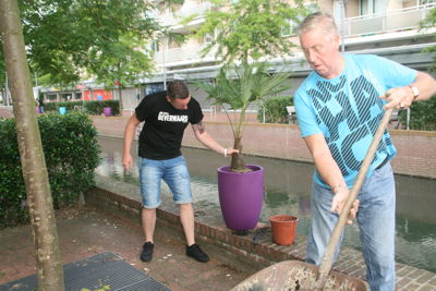 Foto 31 uit HippePlantenBakken