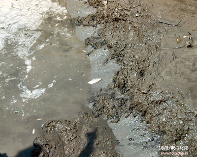 Foto 358 uit WcBeverwVerbouwing