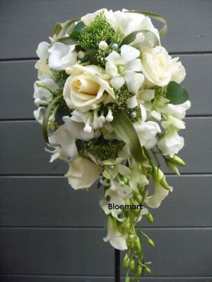 Foto 156 uit NeelyshaBloemen