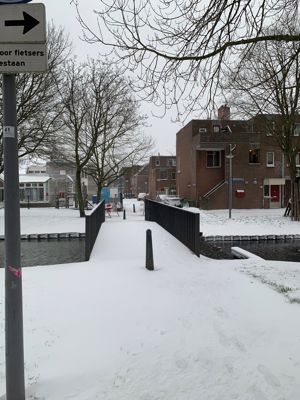 Foto 157 uit WinterIn Beverwaard