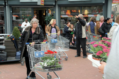 Foto 56 uit OpzoomerenPlantjes