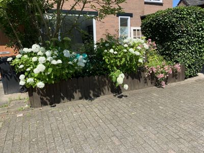 Foto 327 uit Rondje Beverwaard 2026