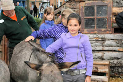 Foto 211 uit LikeJeWijkfeest14-9