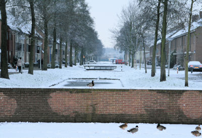 Foto 18 uit Kerst Beverwaard09
