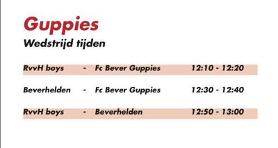 Foto 4 uit VoetbalFest17-4-16