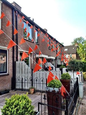 Foto 60 uit OranjeInBeverwaard