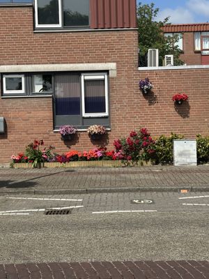 Foto 272 uit Rondje Beverwaard 2026