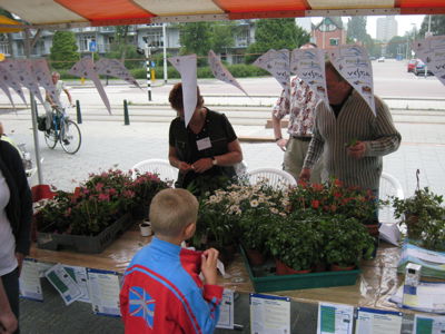 Foto 11 uit susannadijk vestia07