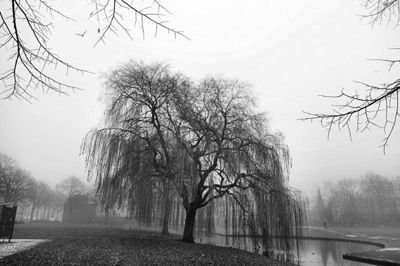 Foto 63 uit Herfst In Beverwaard