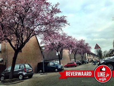 Foto 239 uit LIKEJEWIJK FOTO'S_2