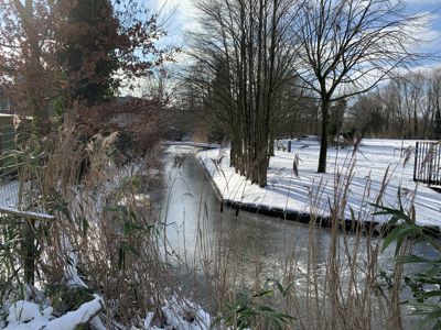 Foto 177 uit WinterIn Beverwaard