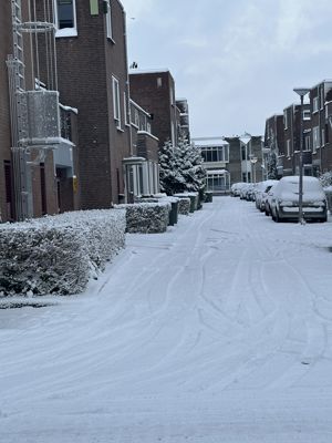 Foto 9 uit X- Sneeuw in de Beverwaard 2026