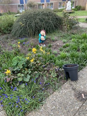 Foto 3 uit Tuin IJsselburgh