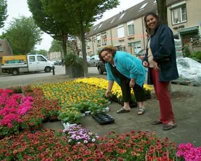 Foto 77 uit opzoomeren 29_5_8