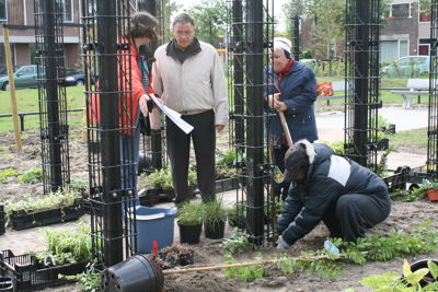 Foto 11 uit Tropische Buurttuin