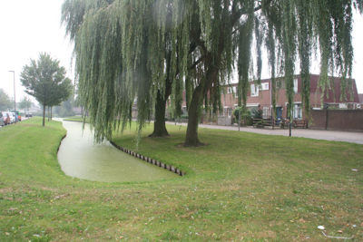 Foto 356 uit StratenBEVERWAARD