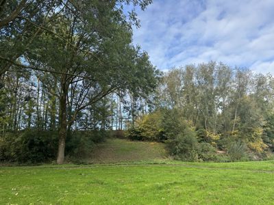 Foto 51 uit X-Herfst Verschillende jaren  2026
