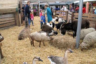 Foto 100 uit WijkFeest15_09_2012