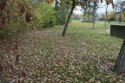 Foto 199 uit Herfst In Beverwaard