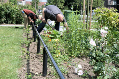 Foto 19 uit Tropische Tuin12_6