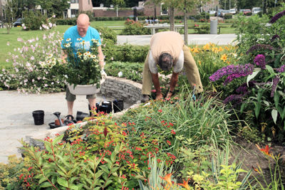 Foto 327 uit TropischeTuin 2017