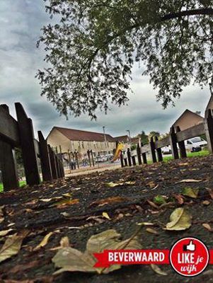 Foto 651 uit LIKEJEWIJK FOTO'S_2