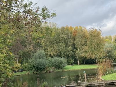 Foto 449 uit Rondje Beverwaard 2026