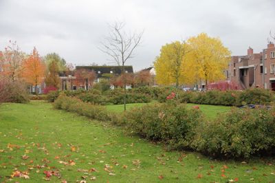 Foto 381 uit Rondje Beverwaard 2026