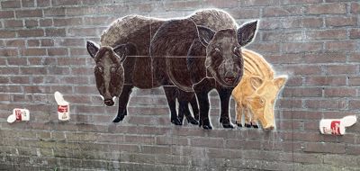 Foto 17 uit All Caps Muurschilderingen Beverwaard 2026