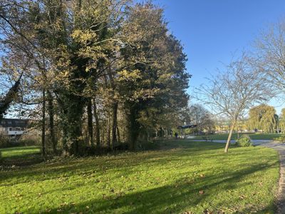 Foto 387 uit Rondje Beverwaard 2026