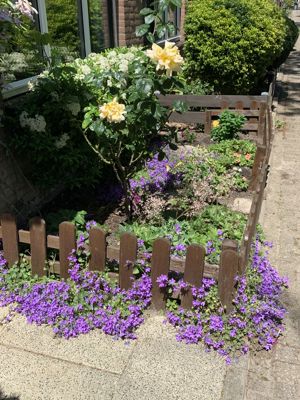 Foto 50 uit Lente En Zomer 2022