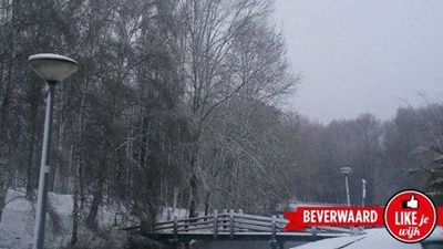 Foto 565 uit LIKEJEWIJK FOTO'S_2