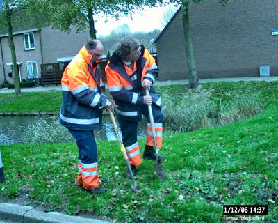 Foto 34 uit bloembollen planten