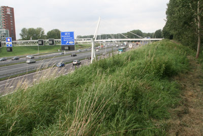 Foto 79 uit StratenBEVERWAARD