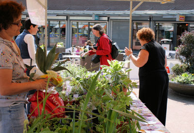 Foto 7 uit Tuin-Academie25-4_9