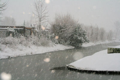 Foto 5 uit SneeuwBeverwaard10