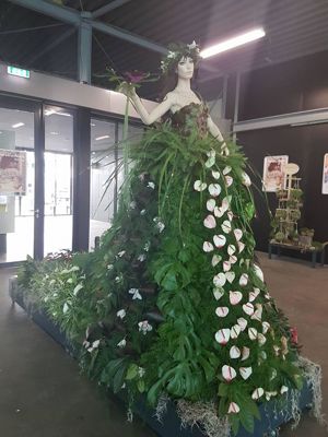 Foto 268 uit NeelyshaBloemen