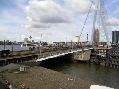 Foto 45 uit red bull air race r.dam