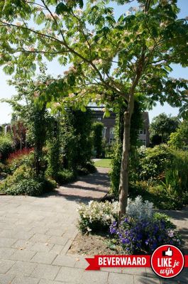 Foto 26 uit LIKEJEWIJK FOTO'S_3