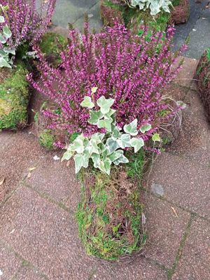 Foto 14 uit NeelyshaBloemen