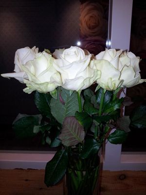 Foto 13 uit NeelyshaBloemen