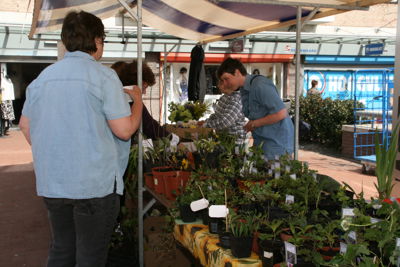 Foto 6 uit PlantenRuilBeurs24_4